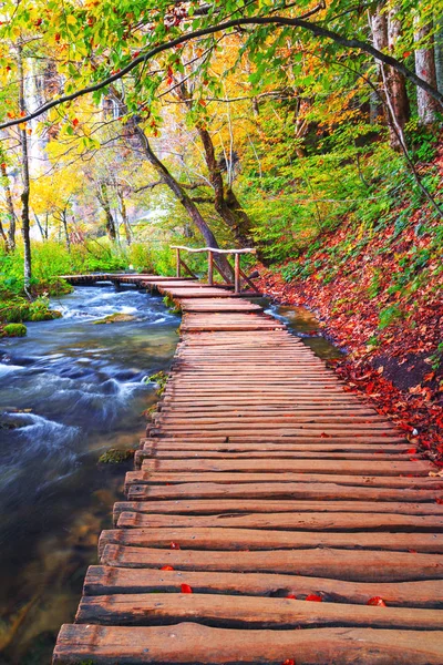 Slavná Plitvická jezera a dřevěná stezka s krásným podzimem — Stock fotografie