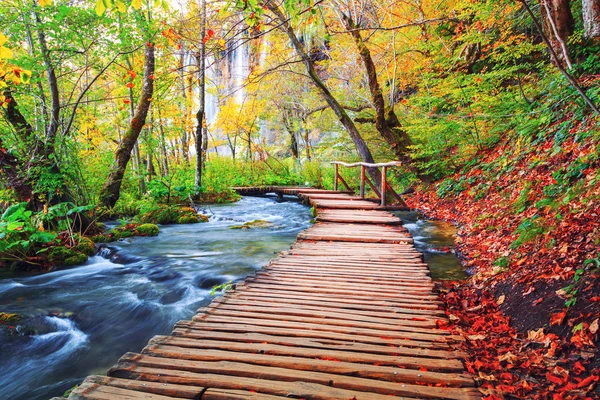 美丽的秋色和巨大的溪流，是著名的Plitvice湖 — 图库照片