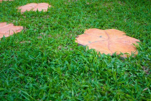 Piastrelle di ceramica su erba verde Foto Stock