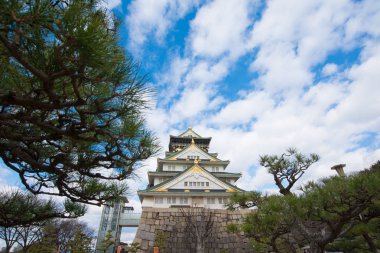 Kışın, Osaka, Osaka Kalesi Japonya
