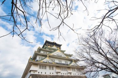 Kışın, Osaka, Osaka Kalesi Japonya