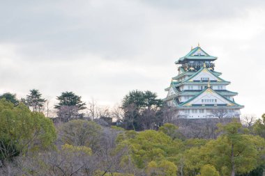 Kışın, Osaka, Osaka Kalesi Japonya