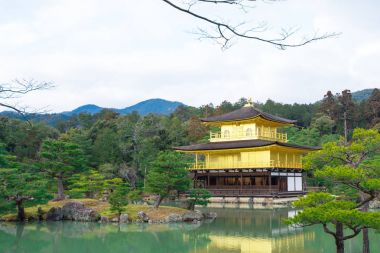 Kinkakuji veya altın tapınak kışın, Kyoto, Japonya
