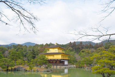 Kinkakuji veya altın tapınak kışın, Kyoto, Japonya