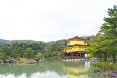 Kinkakuji veya altın tapınak kışın, Kyoto, Japonya