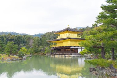 Kinkakuji veya altın tapınak kışın, Kyoto, Japonya