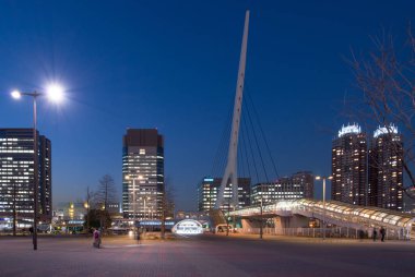 Odaiba, Japonya - 28 Ocak 2016: gece görünümü Odaiba Tokyo, Japonya