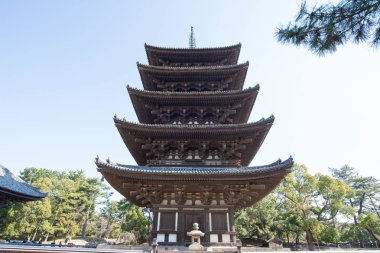 Nara, Japonya-Ocak 31, 2016: Kofukuji Tapınağı. Bu bir Unesco Dünya Mirası sitesidir..
