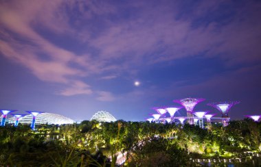 Supertree Bahçe, Bahçe Bay, Singapur tarafından gece görünümü