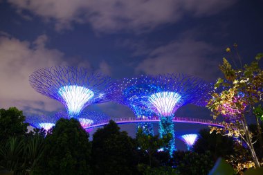 Supertree Bahçe, Bahçe Bay, Singapur tarafından gece görünümü