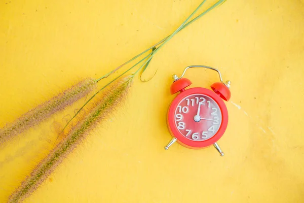 Red alarm clock and grass flower — Stock Photo, Image