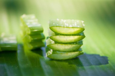 Dilimlenmiş Aloe vera yaprak yeşil