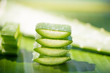Dilimlenmiş Aloe vera yaprak yeşil