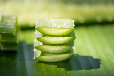 Dilimlenmiş Aloe vera yaprak yeşil