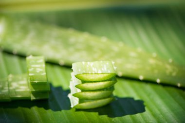 Aloe vera yaprak yığını üzerinde yeşil dilimlenmiş