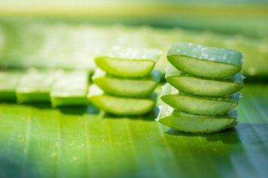 Aloe vera yığın yeşil muz yaprağına dilimlenmiş