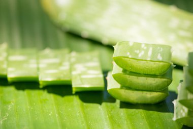 Aloe vera yığın yeşil muz yaprağına dilimlenmiş