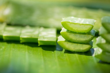 Aloe vera yığın yeşil muz yaprağına dilimlenmiş