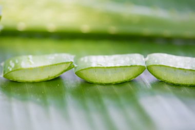 Dilimlenmiş Aloe vera leafl yeşil