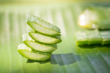 Dilimlenmiş Aloe vera leafl yeşil