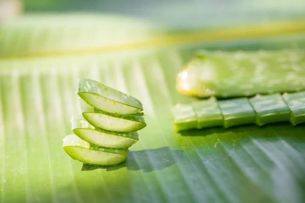 Sliced Aloe vera stack on green banana leaf — Stock Photo, Image