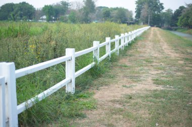 Çimen tarlasında beyaz çit doğa geçmişini gösterir