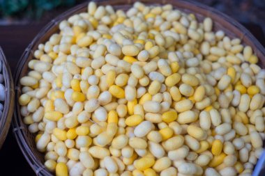 Sepete kapatılmış ipek kozası.