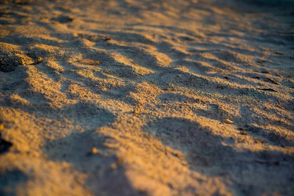 Uzavřený Písek Říční Pláži — Stock fotografie