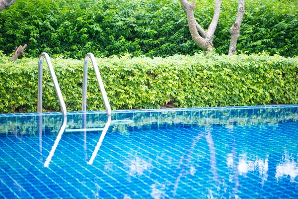 Swimming pool in green garden