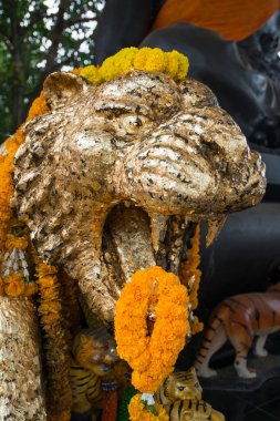 Tayland Nakhon Pathom 'daki Bang Phra Tapınağı' nda kaplan heykeli altın yapraklar içerir.