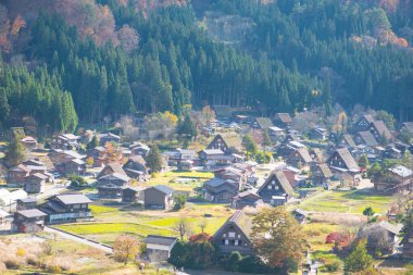 Japonya 'nın Shirakawa-go şehrinde sonbahar mevsiminde Geleneksel Gu-zukuri evi manzarası