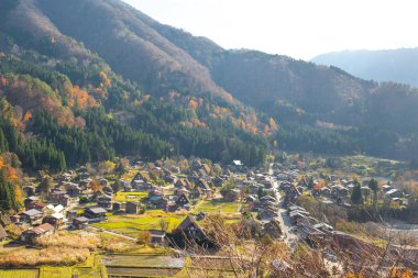 Japonya 'nın Shirakawa-go şehrinde sonbahar mevsiminde Geleneksel Gu-zukuri evi manzarası
