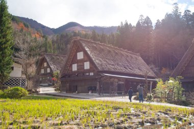 Shirakawa-go, Japonya - 15 Kasım 2018: Shirakawa-go, Japonya 'daki geleneksel gthe-zukuri evi. Shirakawa-go, Japonya' nın Gifu ilinde yer alan Dünya Mirası Alanıdır.