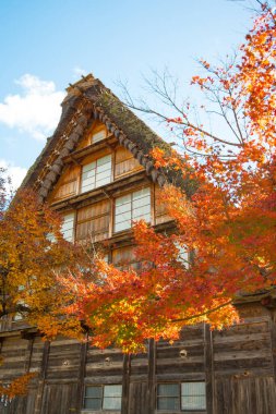 Japonya 'nın Shirakawa-go şehrinde sonbahar sezonunda geleneksel go-zukuri evi.
