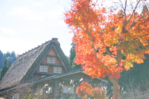 白川郷の秋の伝統的な合掌造りの家 — ストック写真