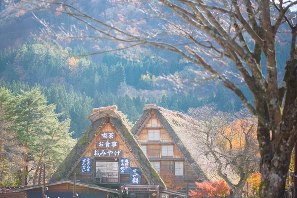 Shirakawa Japón Noviembre 2018 Casa Tradicional Gassho Zukuri Shirakawa Japón — Foto de Stock