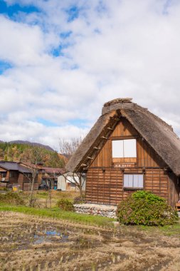 Shirakawa-go, Japonya - 15 Kasım 2018: Shirakawa-go, Japonya 'daki geleneksel gthe-zukuri evi. Shirakawa-go, Japonya' nın Gifu ilinde yer alan Dünya Mirası Alanıdır.