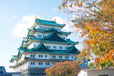 Japonya 'nın Nagoya şehrinde sonbahar mevsiminde Nagoya Kalesi