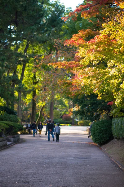 Nagoya Japão Novembro 2018 Pleople Walking Nagoya Castle Nagoya Japan — Fotografia de Stock