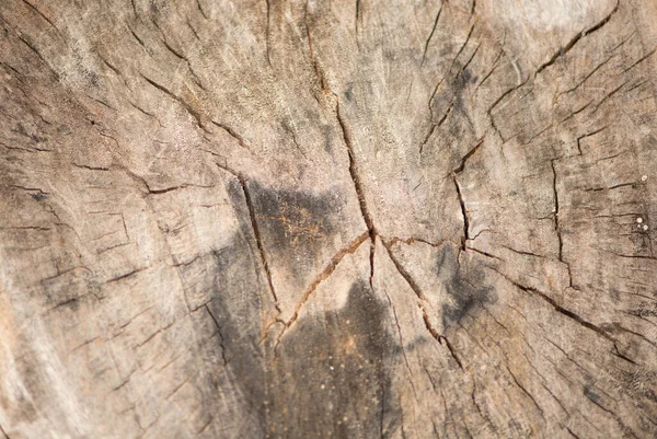 Gesloten Oude Hout Textuur Achtergrond — Stockfoto