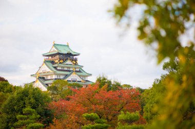 Japonya 'nın Osaka şehrinde sonbahar mevsiminde Osaka Kalesi