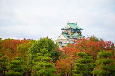 Japonya 'nın Osaka şehrinde sonbahar mevsiminde Osaka Kalesi