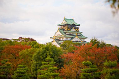 Japonya 'nın Osaka şehrinde sonbahar mevsiminde Osaka Kalesi