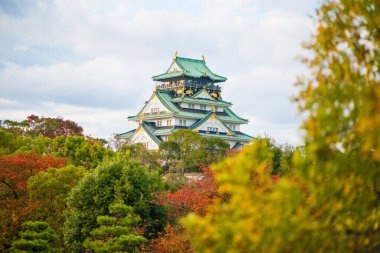 Japonya 'nın Osaka şehrinde sonbahar mevsiminde Osaka Kalesi