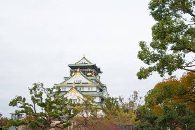 Japonya 'nın Osaka şehrinde sonbahar mevsiminde Osaka Kalesi