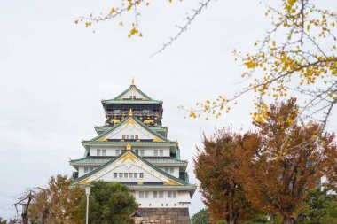 Japonya 'nın Osaka şehrinde sonbahar mevsiminde Osaka Kalesi