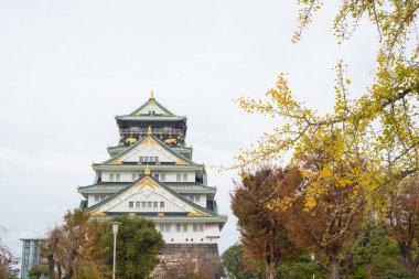 Japonya 'nın Osaka şehrinde sonbahar mevsiminde Osaka Kalesi