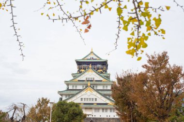 Japonya 'nın Osaka şehrinde sonbahar mevsiminde Osaka Kalesi