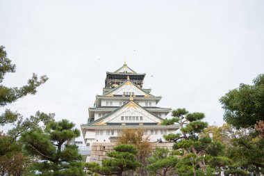 Japonya 'nın Osaka şehrinde sonbahar mevsiminde Osaka Kalesi
