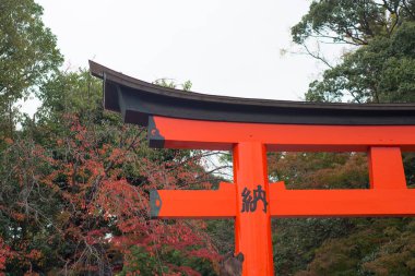 KYOTO, JAPONYA - 12 Eylül 2018: Japonya 'nın Kyoto kentindeki Fushimi Inari-taisha türbesinde kırmızı torii